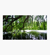 Overhang Photographic Print