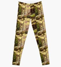 Turkey. Istanbul. The Blue Mosque. Leggings