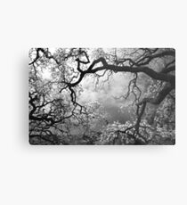 Sheltering Sky Metal Print