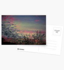 Coldness Postcards