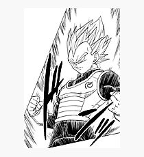 Vegeta Photographic Print