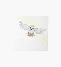 Flying Owl T-shirt Art Board