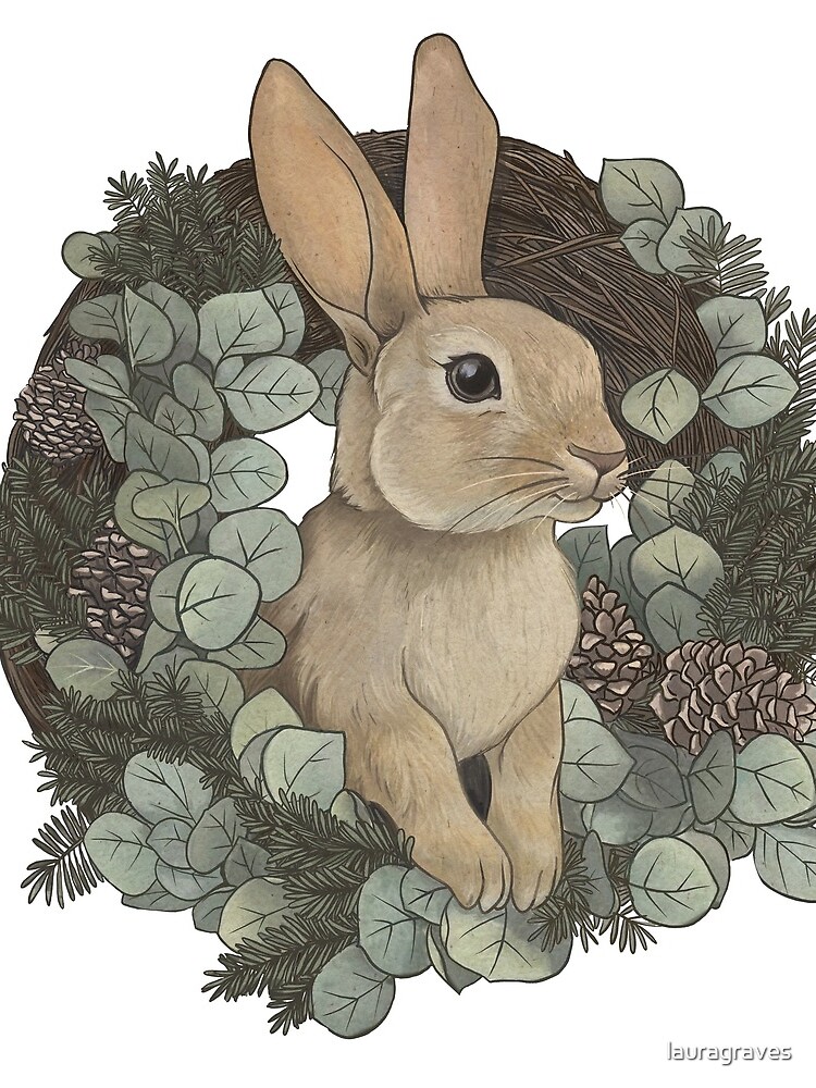 Winter Rabbit by lauragraves