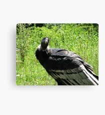 Endearing Canvas Print