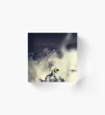 valentino rossi Acrylic Block