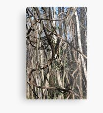 signature Metal Print
