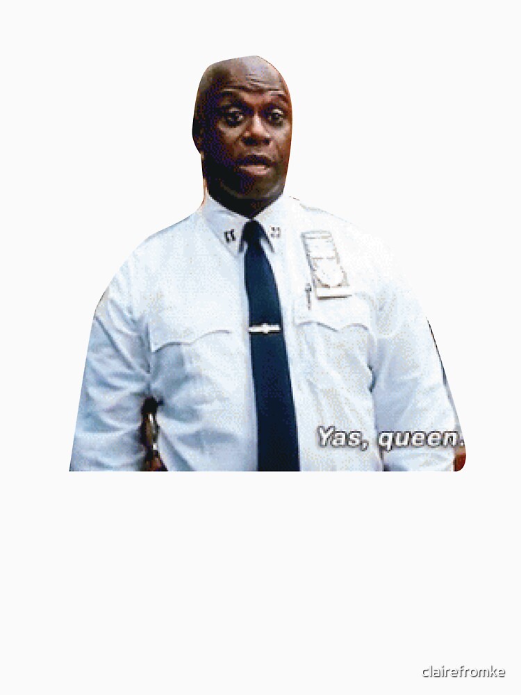 captain raymond holt t shirt