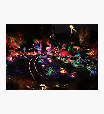 Night in the Sunken Garden(2) Photographic Print
