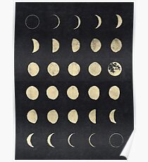 Moon Phases Poster