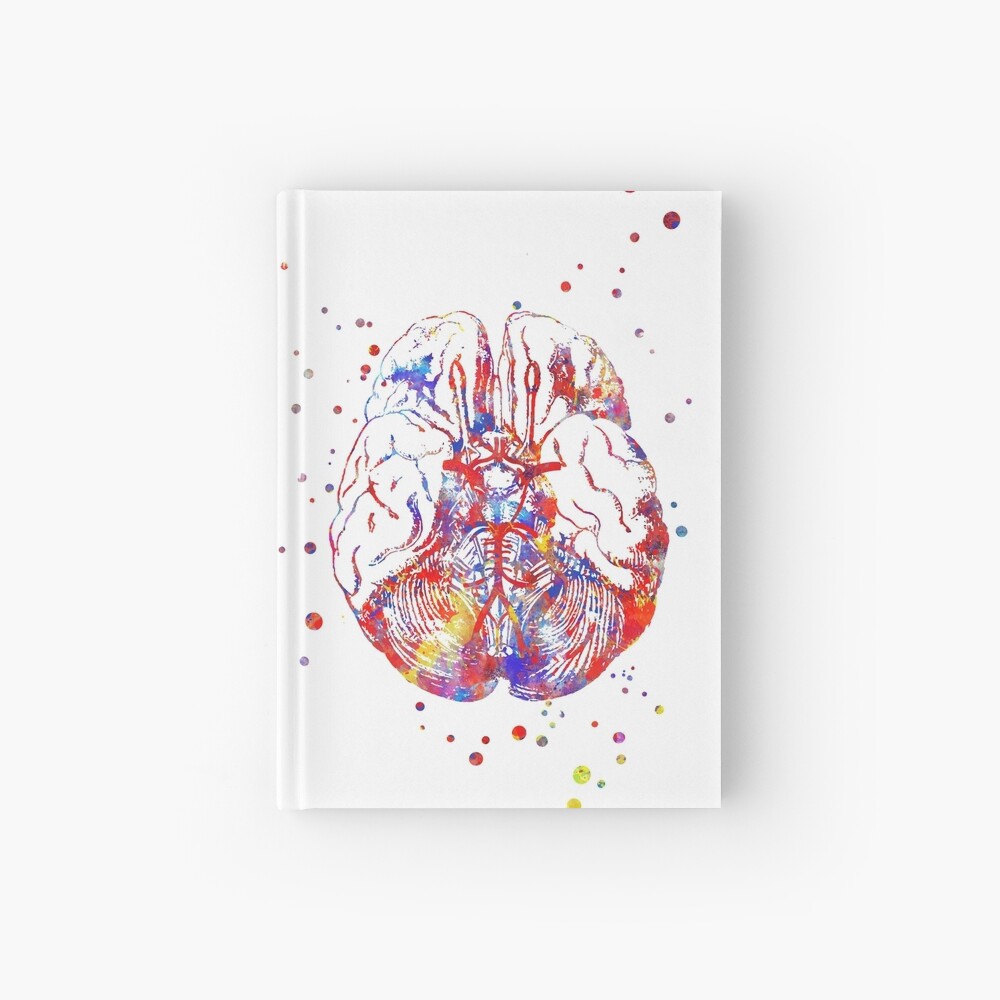 Ribcage Watercolor Print Medical Art Skeleton Medical Art Science Anatomy Art