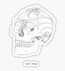 Star Trek Klingon Skull Wissenschaftliche Illustration Sticker