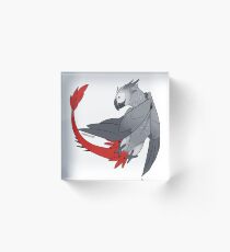 Drache Birbs - afrikanischer grauer Papagei Acrylblock