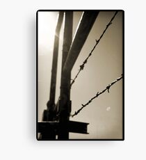 Untitled Canvas Print
