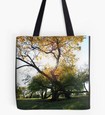Deciduous Tote Bag