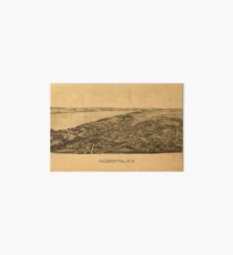 Panoramic Maps Cazenovia NY Galeriedruck