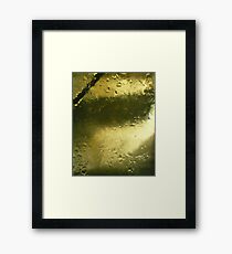 Precious Gold Framed Print
