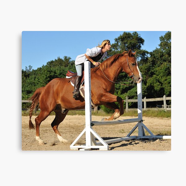 The Quarter Horse Jump Canvas Print