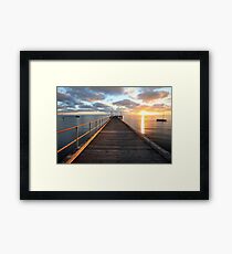 Morning Glory, Mornington Peninsula, Australia Framed Print