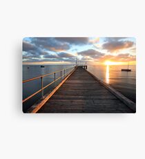Morning Glory, Mornington Peninsula, Australia Canvas Print