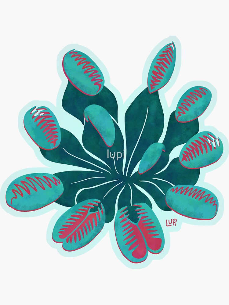 Venus Flytrap by lupi