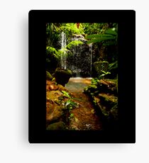 water fall paronella Canvas Print