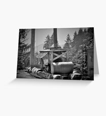 Mule, Camp 18, Oregon Greeting Card