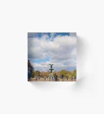 Birds & Bethesda Acrylic Block