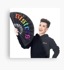 Lámina metálica James Charles Rainbow hermanas Merch