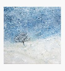 Winter Calm Photographic Print