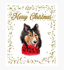 Merry Christmas Collie Dog Photographic Print