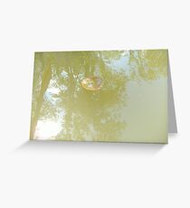 Lillypad Greeting Card