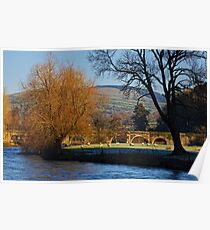 sheep grazing on a frosty morning, Inistioge, County Kilkenny, Ireland Poster