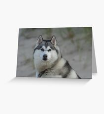 Szary Greeting Card