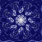 Ethereal Chaos Fractal Art by shinjidai