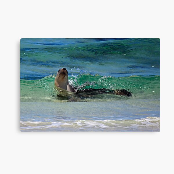 Breaking the Waves Canvas Print