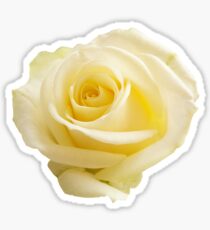 Yellow Rose Sticker