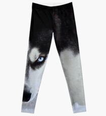 If Looks Could Kill - Black and White Husky Leggings