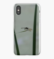 Dragonfly Sihouette iPhone Case