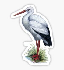 Vintage Stork Sticker