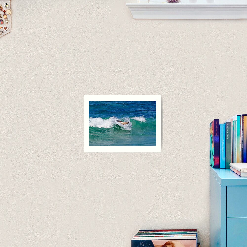 Surfing Sea Lion Art Print