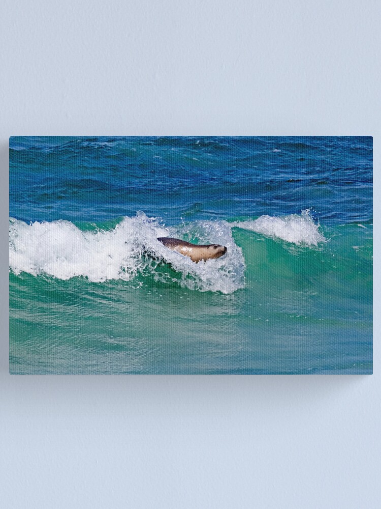 Alternate view of Surfing Sea Lion Canvas Print