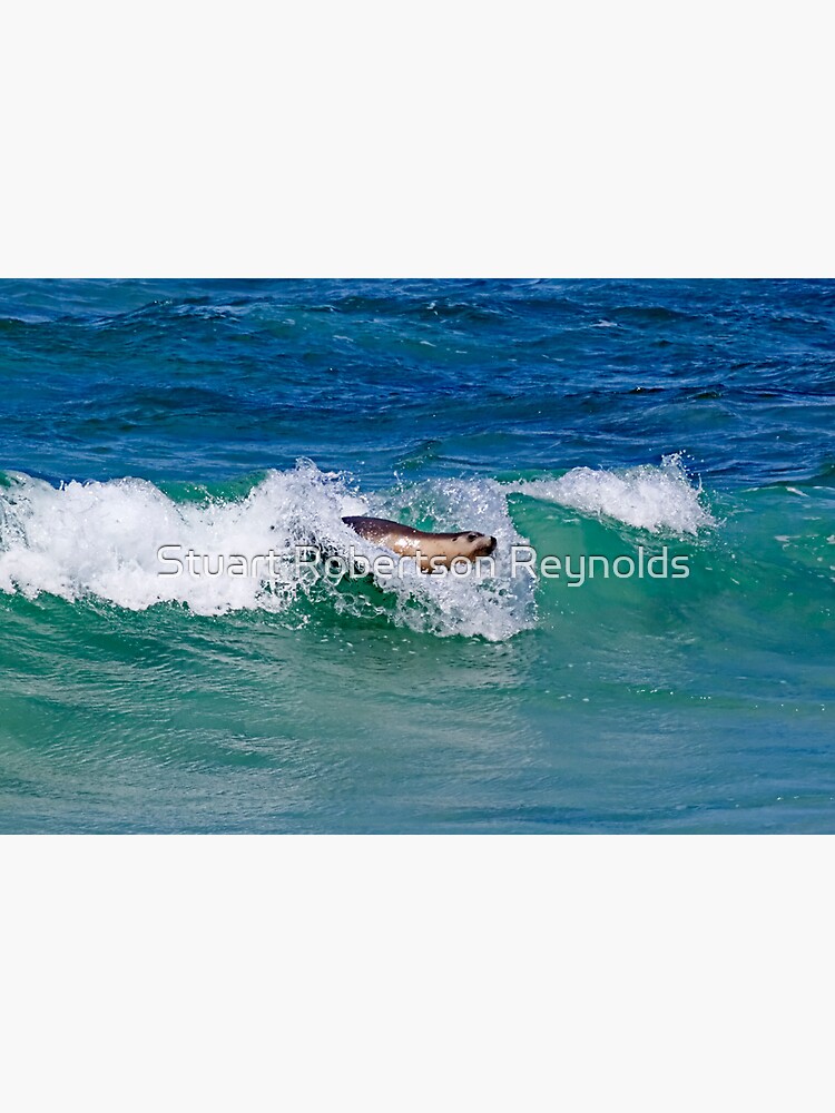 Surfing Sea Lion by Sparky2000