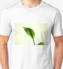 The Green Hoodie Unisex T-Shirt
