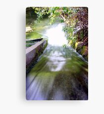 Indiana Jones Canvas Print