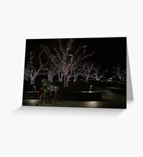 Branches of Light Greeting Card