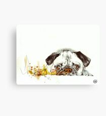 Pug Cuteness Canvas Print