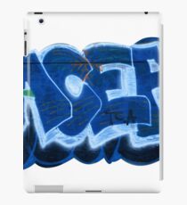 ACER iPad Case/Skin