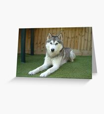 Sphinx Greeting Card