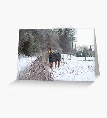 Wrapped up warm Greeting Card