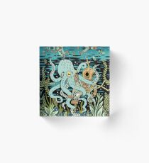 Diver Acrylic Block
